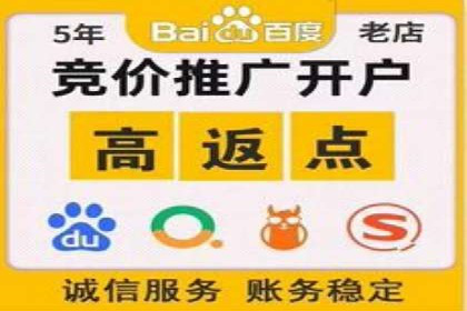 移动支付中充值返点模式探究